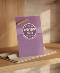 תמונה 1