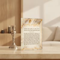 תמונה 1
