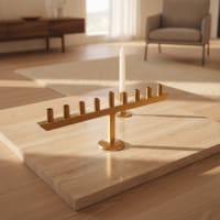 תמונה 1
