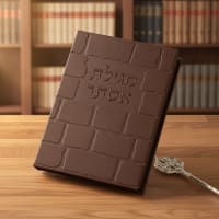 תמונה 1
