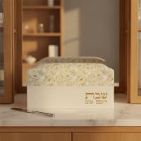 תמונה 1