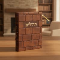 תמונה 1