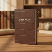 תמונה 1
