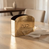 תמונה 1