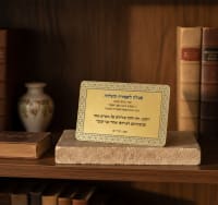 תמונה 1