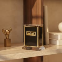 תמונה 1