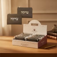 תמונה 1