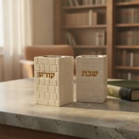 תמונה 1