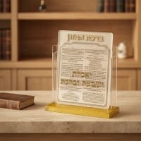 תמונה 1
