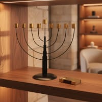 תמונה 1