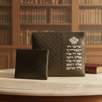תמונה 1