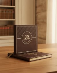 תמונה 1