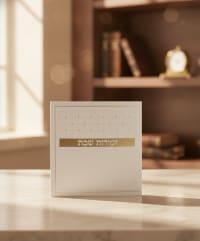 תמונה 1