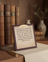 תמונה 1