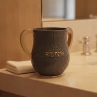 תמונה 1