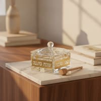 תמונה 1