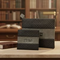 תמונה 1