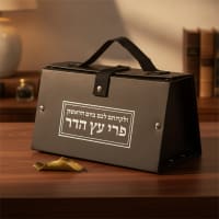 תמונה 1