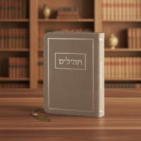 תמונה 1