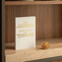תמונה 1
