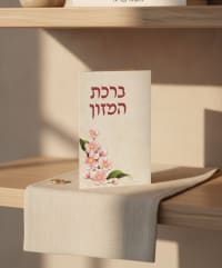תמונה 1