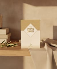 תמונה 1