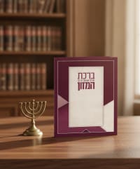 תמונה 1