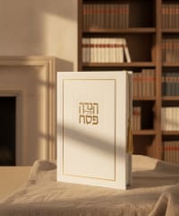 תמונה 1