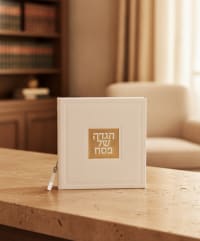 תמונה 1
