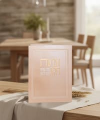 תמונה 1