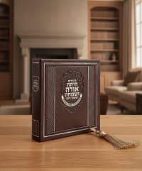 תמונה 1