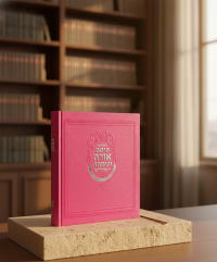 תמונה 1