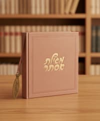 תמונה 1
