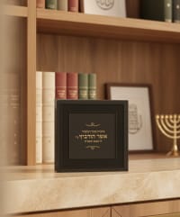 תמונה 1