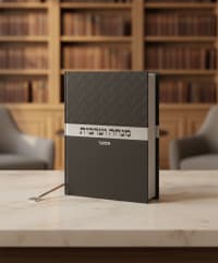 תמונה 1