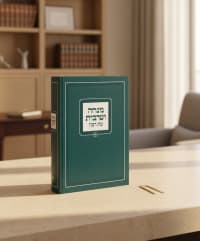 תמונה 1