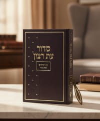 תמונה 1