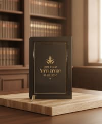 תמונה 1