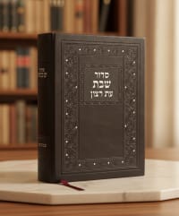 תמונה 1
