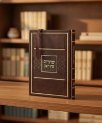 תמונה 1