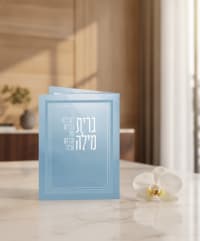 תמונה 1