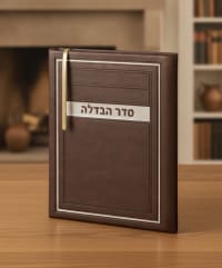תמונה 1