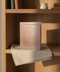 תמונה 1