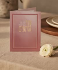 תמונה 1