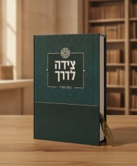 תמונה 1