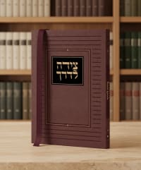 תמונה 1