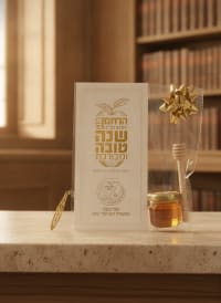 תמונה 1