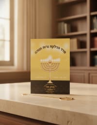 תמונה 1