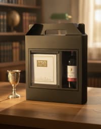 תמונה 1