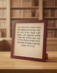 תמונה 1